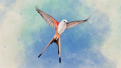 Wingspan Companion